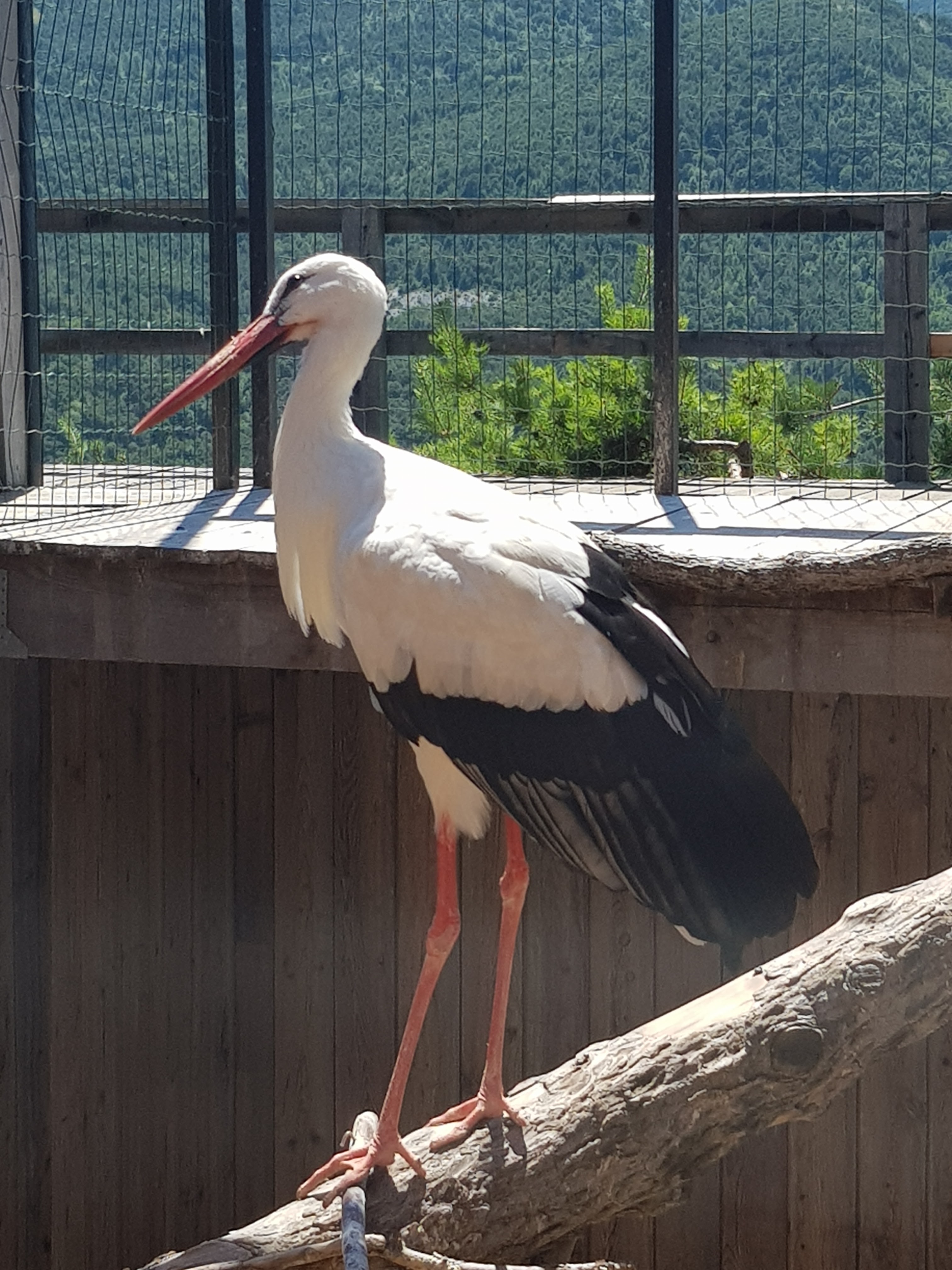 Photo n° 3 de l'avis de Valérie.E fait le 15/07/2021 à 12:17
