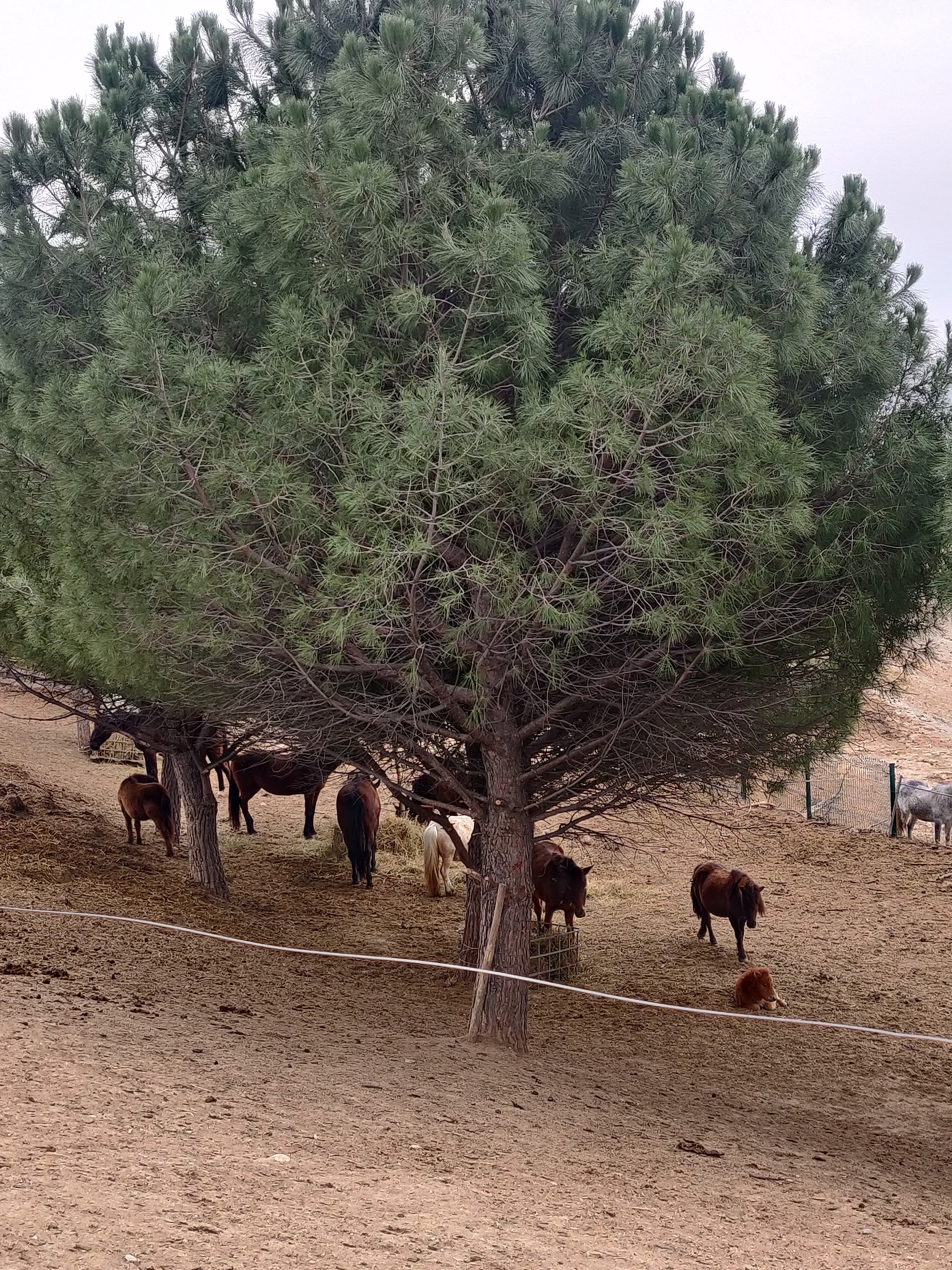 Photo n° 1 de l'avis de M. fait le 24/03/2022 à 20:33