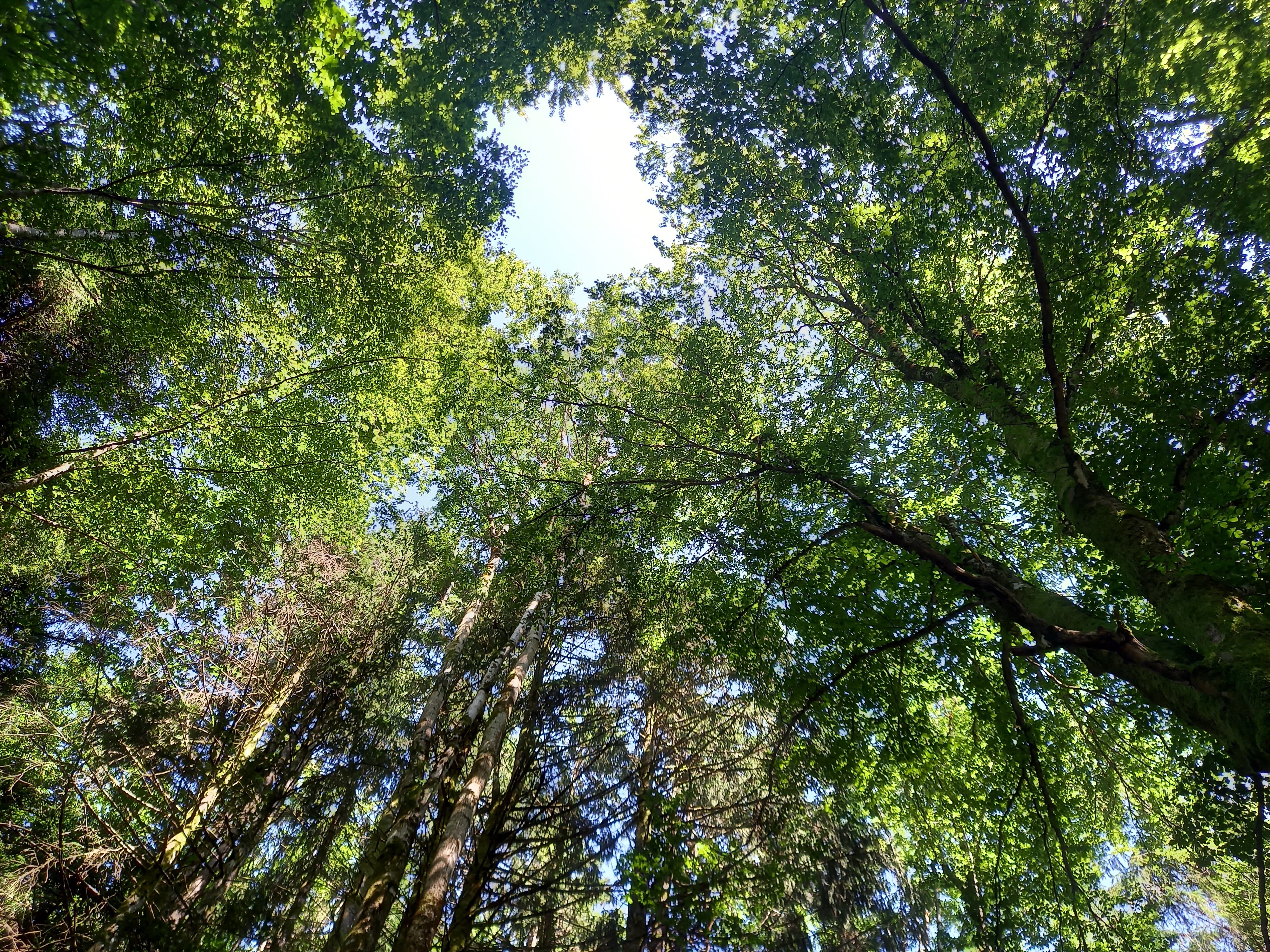 Photo n° 4 de l'avis de Philippot.t fait le 22/08/2021 à 17:10