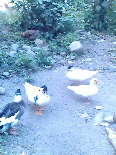 Zoo «Palm Beach Zoo & Conservation Society», reviews and photos, 1301 Summit Blvd, West Palm Beach, FL 33405, USA