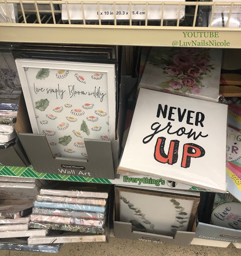 Dollar Store «Dollar Tree», reviews and photos, 35769 Van Born Rd, Romulus, MI 48174, USA