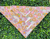 Kiwi's Distinguished Pet Goods - Photo 4 - Car repair in Yuma, AZ, Yuma