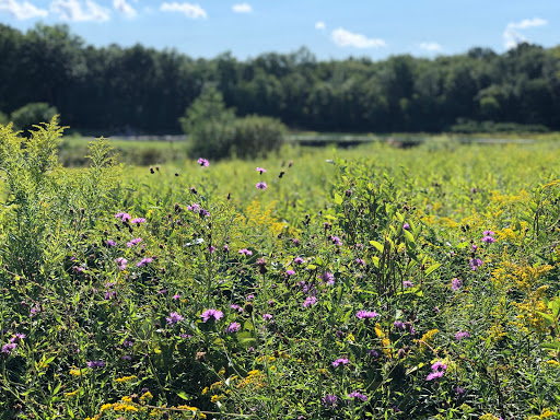 Nature Preserve «Teetertown Ravine Nature Preserve», reviews and photos, 30 Pleasant Grove Rd, Port Murray, NJ 07865, USA