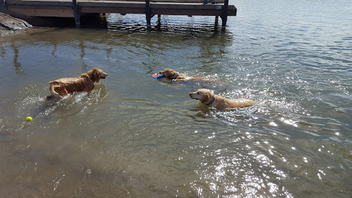 Animal Park «Dog Park At Gallatin County Regional Park (13 Acre w Pond)», reviews and photos, 3900 Baxter Ln, Bozeman, MT 59718, USA