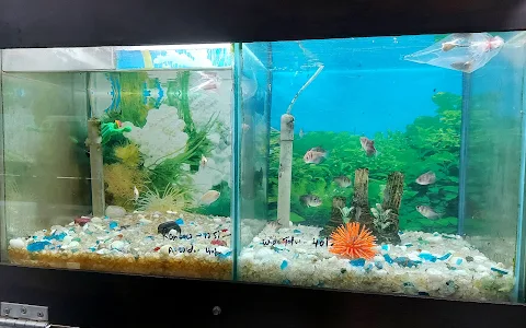 Fish Aquarium Home image