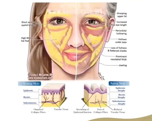 Explore rose tattoo ideas for women, creative tattoo ideas in Lake Oswego, available at Lake Oswego Vein and Aesthetic LOVA