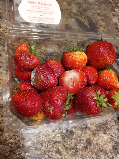 Grocery Store «Chief Supermarkets», reviews and photos, 221 Summit St, Celina, OH 45822, USA