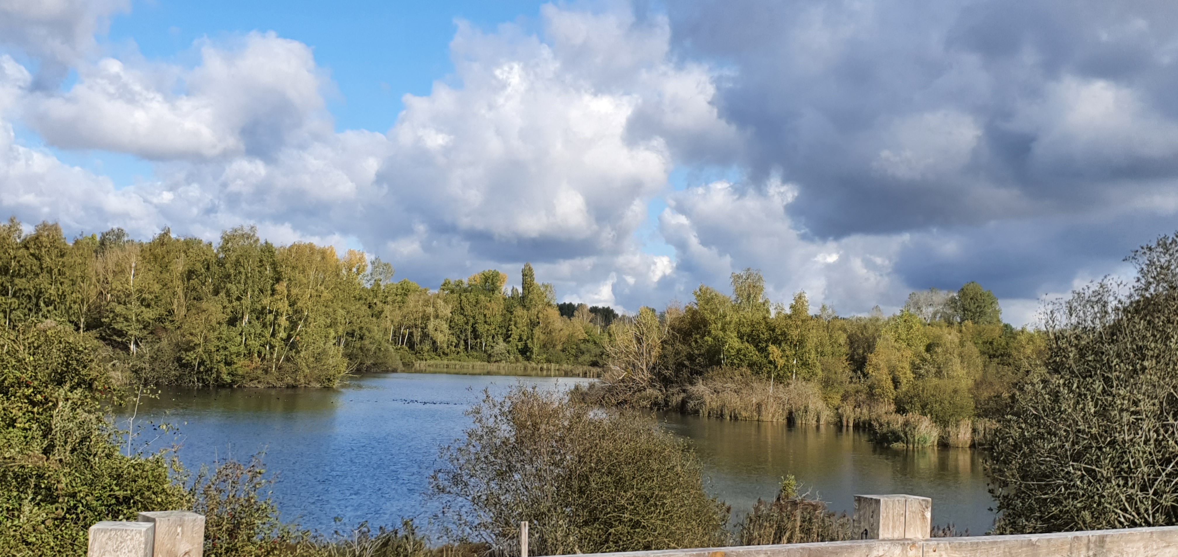 Photo n° 1 de l'avis de Agnes.i fait le 03/11/2020 à 18:02