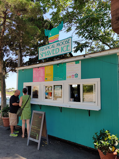 Ice Cream Shop «Tropical Moose», reviews and photos, E Argonne Dr, Kirkwood, MO 63122, USA