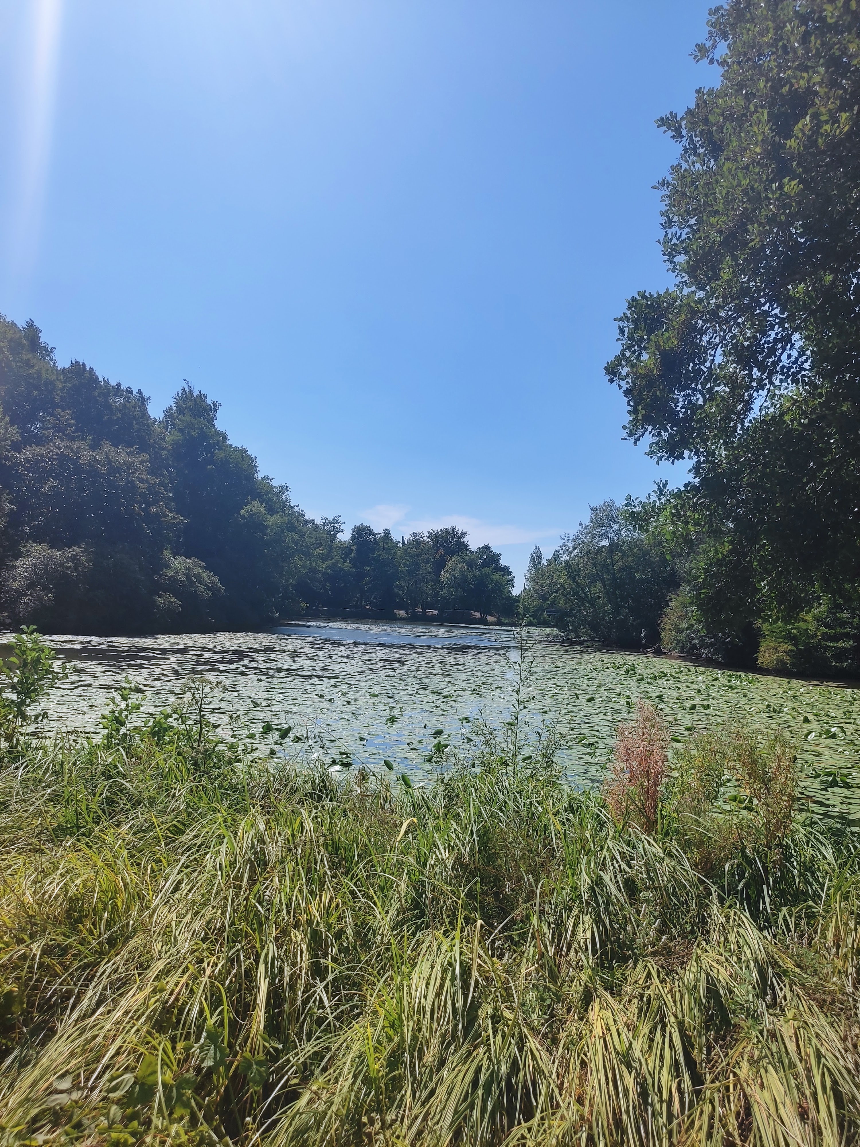 Photo n° 1 de l'avis de Séverine.a fait le 14/08/2022 à 07:19
