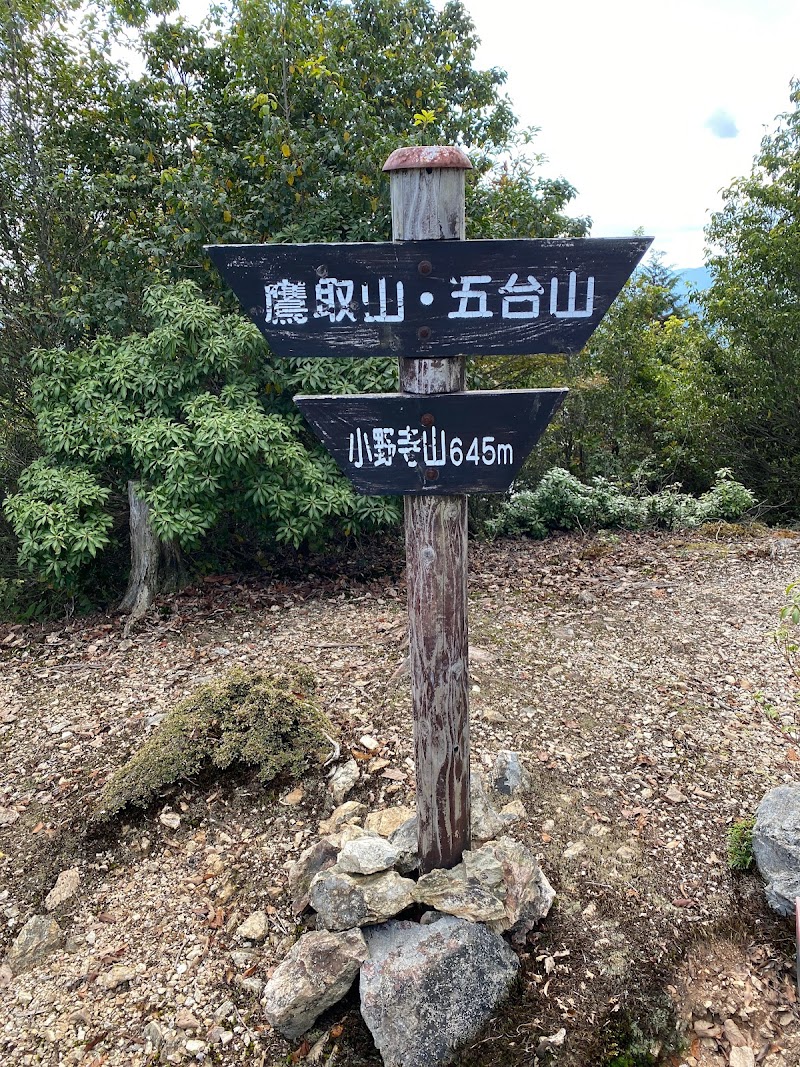 小野寺山