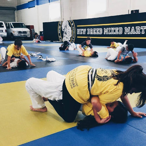 Martial Arts School «New Breed Mixed Martial Arts & Fitness», reviews and photos, 9848 Jersey Ave, Santa Fe Springs, CA 90670, USA