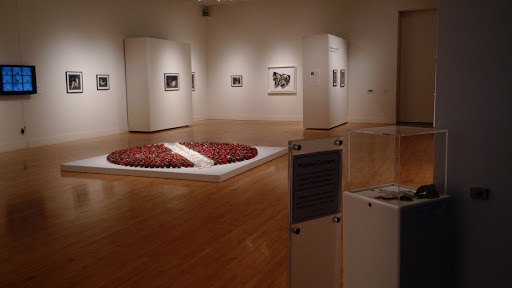 Performing Arts Theater «Artistry», reviews and photos, 1800 W Old Shakopee Rd, Bloomington, MN 55431, USA