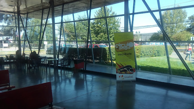 Opiniones de Terminal de Buses LINATAL en Linares - Servicio de taxis