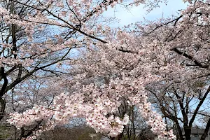 Katsuyama Park image