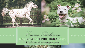 Emma Parkinson Equine and Pet Photography