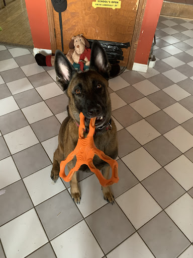 Pet Supply Store «Petco Animal Supplies», reviews and photos, 1933 South Rd, Poughkeepsie, NY 12601, USA