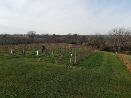 Winery «Two Saints Winery», reviews and photos, 15170 20th Ave, St Charles, IA 50240, USA