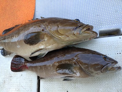 九州釣具修理センター 鈴木商店
