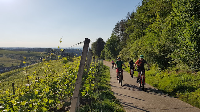 Rezensionen über ADVENTURE-BIKE in Muttenz - Reisebüro