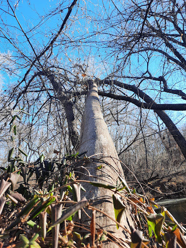 Bicycle Store «Bicycle Pedaler», reviews and photos, 330 N Rock Rd, Wichita, KS 67206, USA