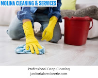 Molina Cleaning & Services - Photo 1 - Car repair in , Erie