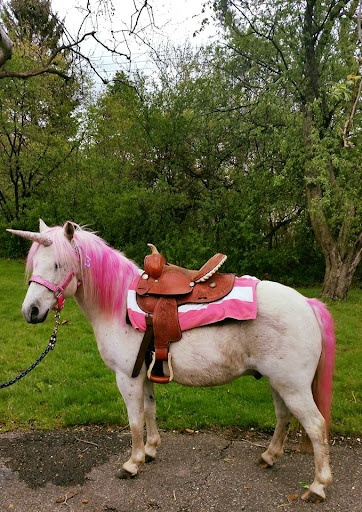 Unique Pony Rides