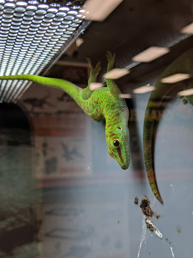 Pet Supply Store «Petco Animal Supplies», reviews and photos, 4345 U.S. 9, Freehold, NJ 07728, USA