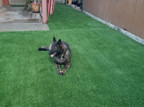 PARKLIFE LANDSCAPING - Photo 7 - Car repair in , Glendale