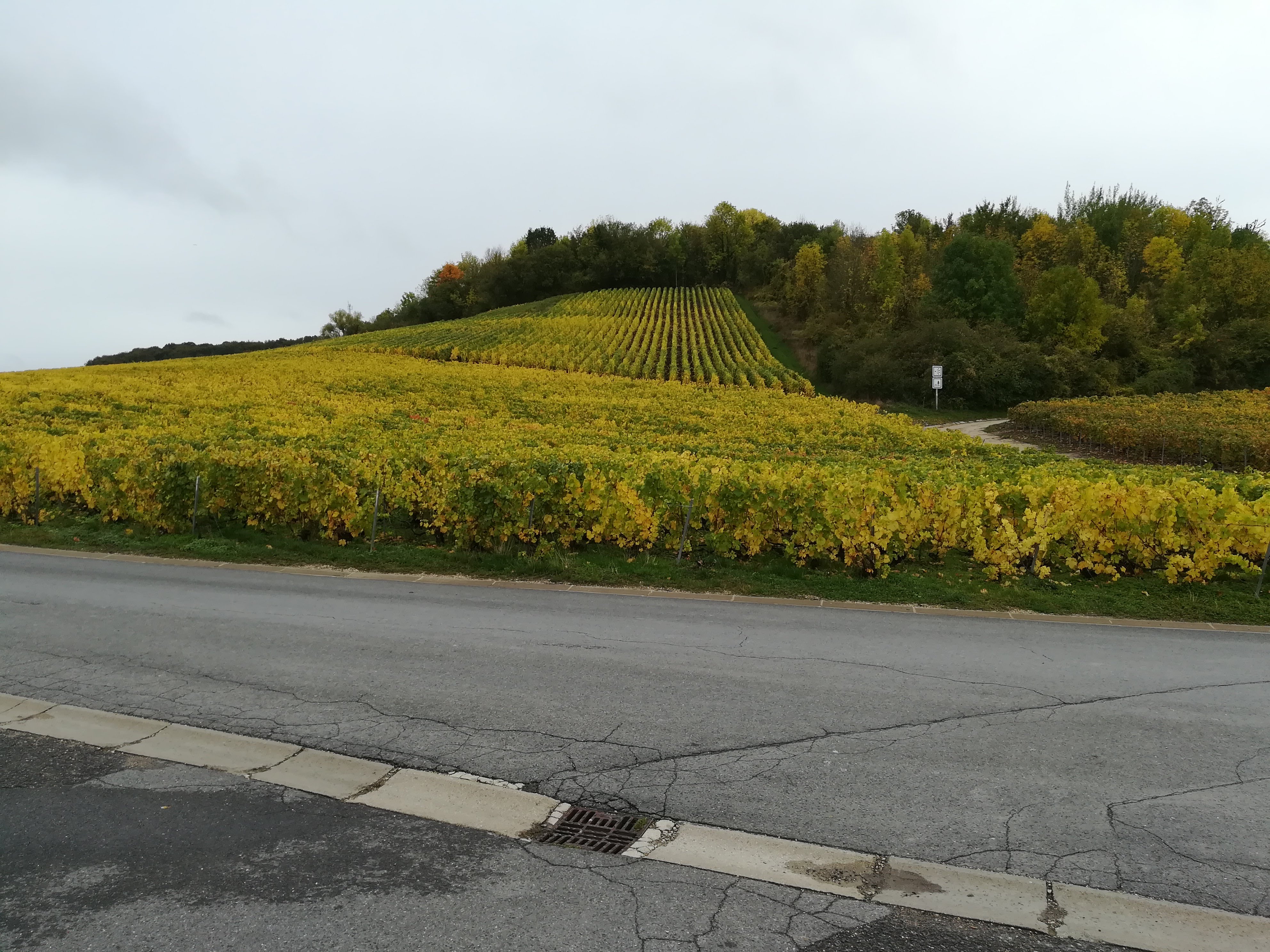 Photo n° 2 de l'avis de Rudi.o fait le 31/10/2019 à 15:04
