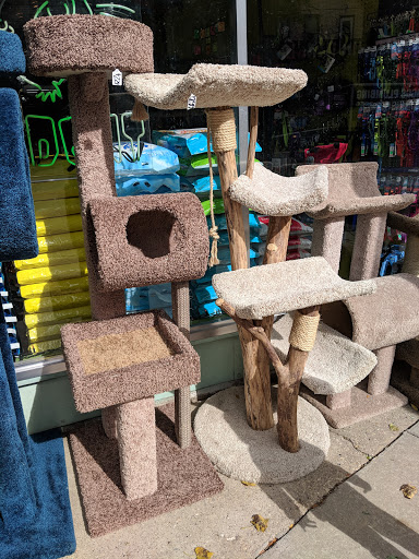 Pet Supply Store «MadCat Pet Supplies», reviews and photos, 1012 Williamson St, Madison, WI 53703, USA