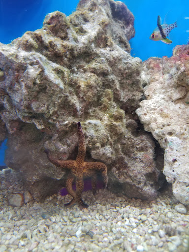 Pet Supply Store «Petco Animal Supplies», reviews and photos, 1049 S Willow St, Manchester, NH 03103, USA