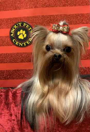 Pet Boarding Service «About Pets Center», reviews and photos, 1604 Conehurst Blvd, Salem, VA 24153, USA