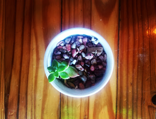 Coffee Shop «Panther Coffee», reviews and photos, 3407 Main Hwy, Miami, FL 33133, USA