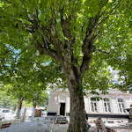 Photo n°3 de l'avis de Marc. fait le 11/06/2022 à 12:31 sur le  DEVA Parkhotel Traunstein à Traunstein