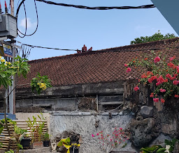 Ayu Beach Inn photo
