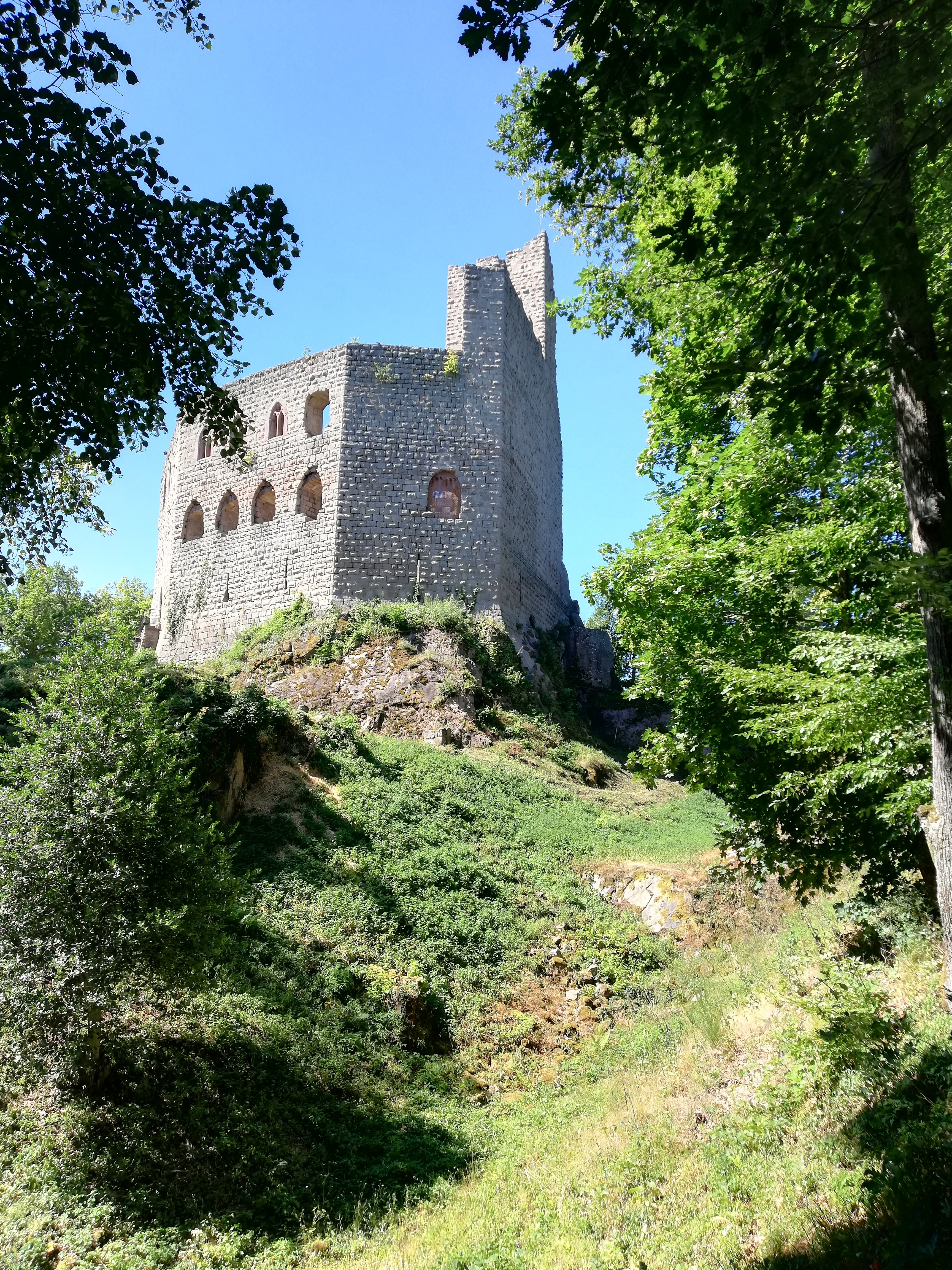 Photo n° 2 de l'avis de houki.1 fait le 03/08/2018 à 17:35