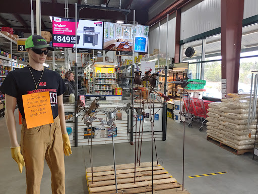 Hardware Store «Allerdice Ace Hardware», reviews and photos, 19 Trieble Ave, Ballston Spa, NY 12020, USA