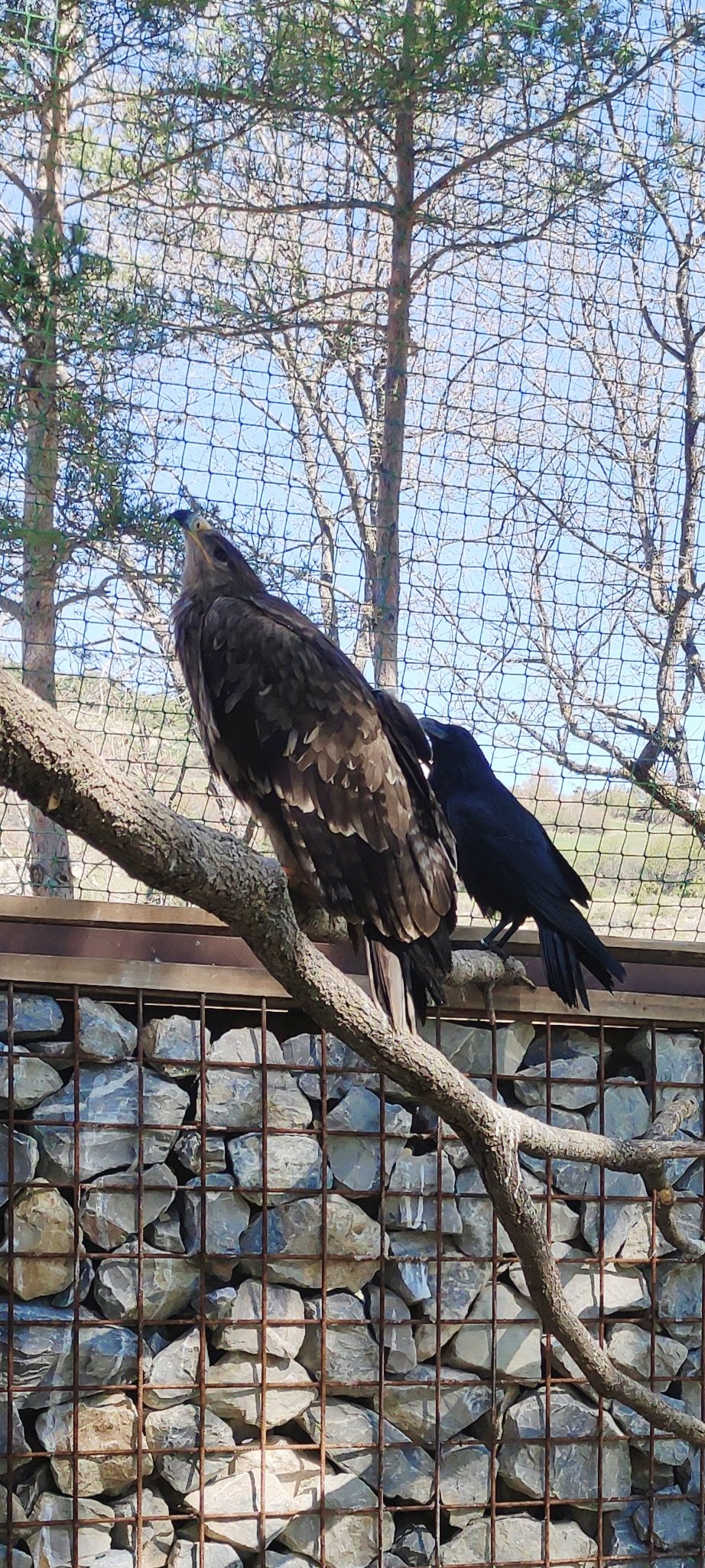 Photo n° 16 de l'avis de Alexia.a fait le 20/04/2023 à 07:36