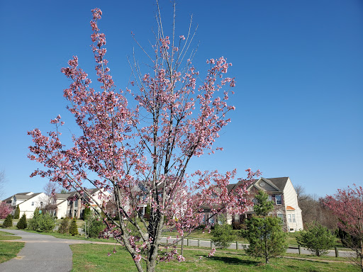 Park «Gough Park», reviews and photos, 9300 Honeygo Blvd, Perry Hall, MD 21128, USA