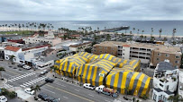 Orion Exterminating - Photo 1 - Car repair in , Anaheim