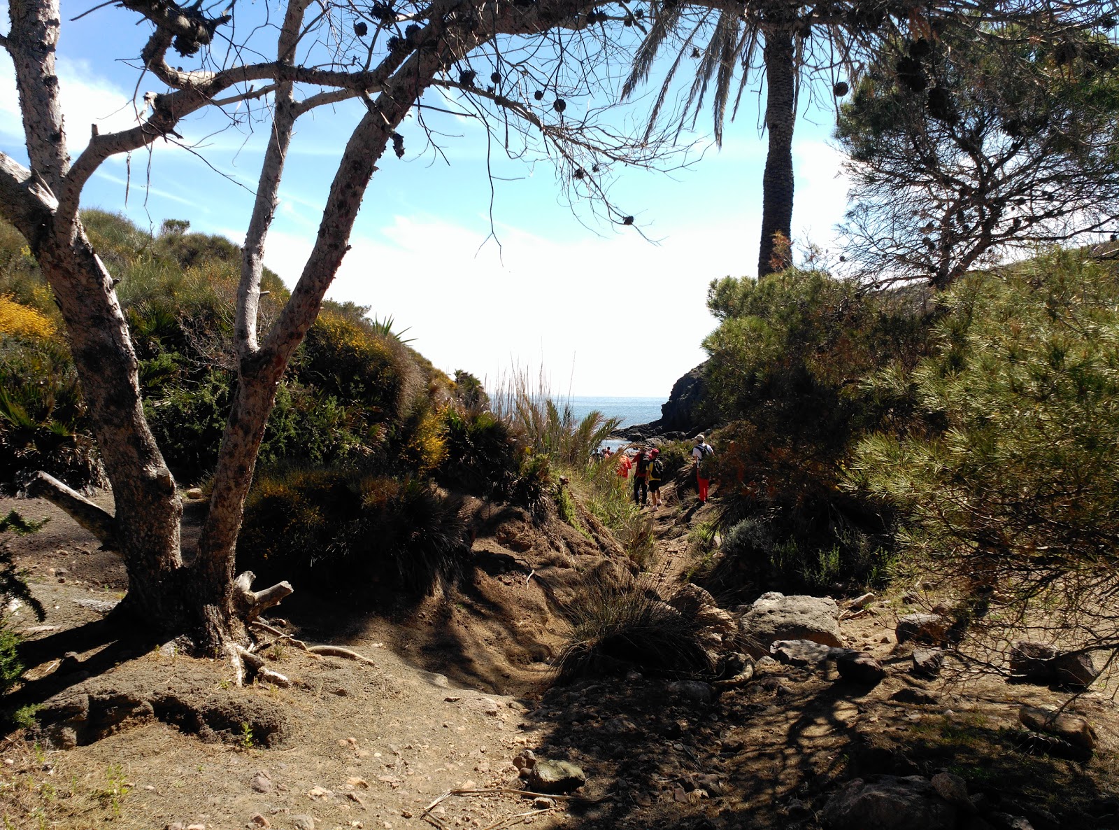 Photo de Cala de los Toros zone sauvage
