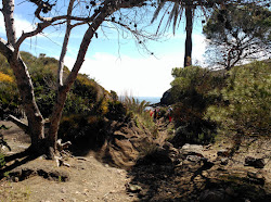 Photo de Cala de los Toros zone sauvage