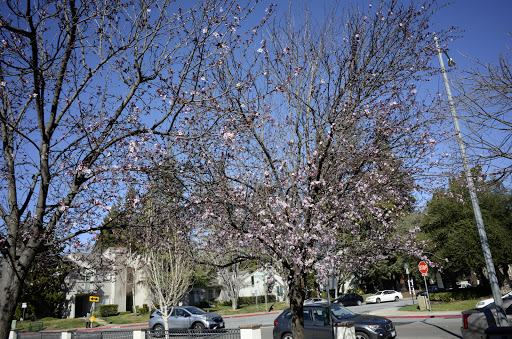 Park «St. Elizabeth Park», reviews and photos, St Elizabeth Dr, San Jose, CA 95126, USA