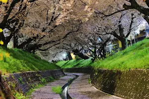 Sakura park image