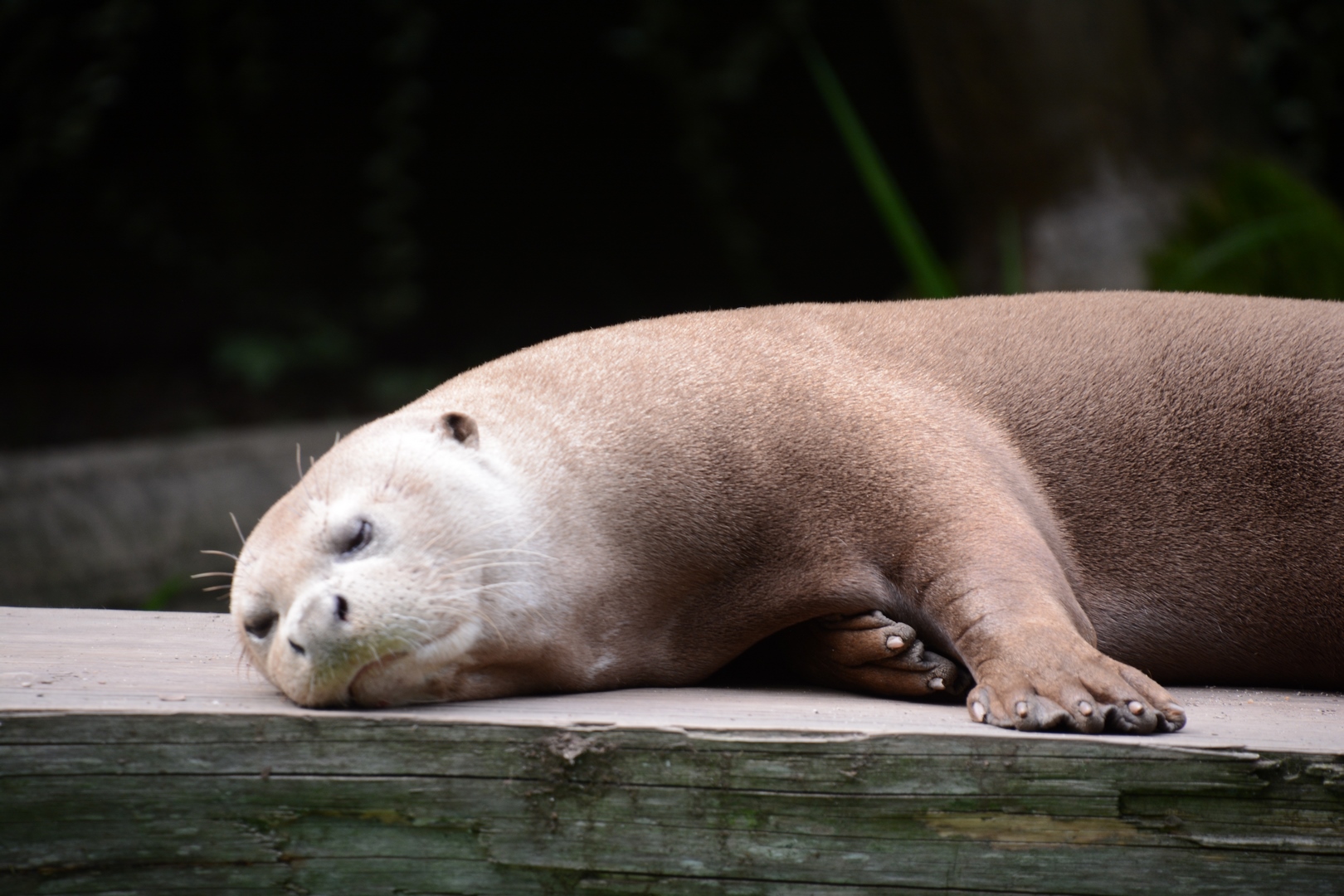 Photo n° 12 de l'avis de Laurent.E fait le 19/09/2023 à 20:20