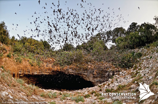 Nature Preserve «Bracken Cave Preserve (Bat Conservation International Inc Events)», reviews and photos, 26101 FM3009, San Antonio, TX 78266, USA