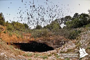 Bracken Cave Preserve (Bat Conservation International Inc) image