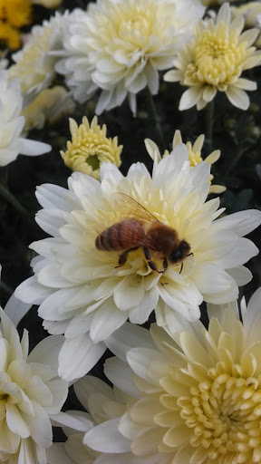 Home Improvement Store «The Home Depot», reviews and photos, 909 Washington St, Middletown, CT 06457, USA