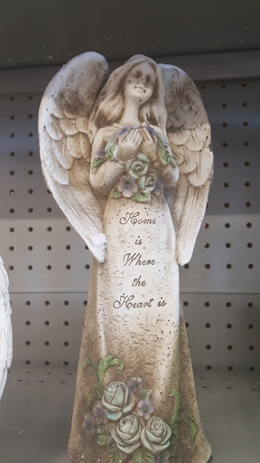 Dollar Store «FAMILY DOLLAR», reviews and photos, 3077 N Orange Blossom Trail, Zellwood, FL 32798, USA